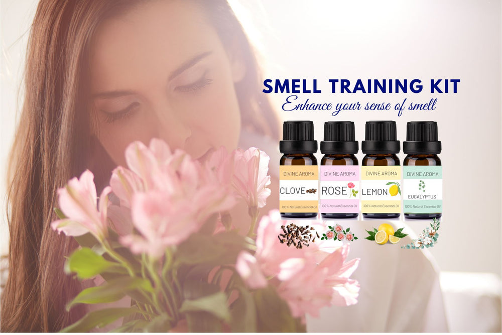 divine aroma smell training kit to enhance sense of smell and regain sense of smell with pure essential oils clove rose lemon eucalyptus aromatherapy