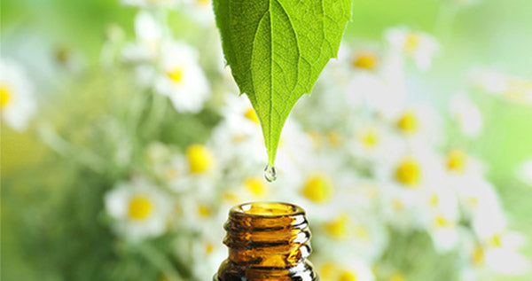 Best Essential Oils To Boost Immunity