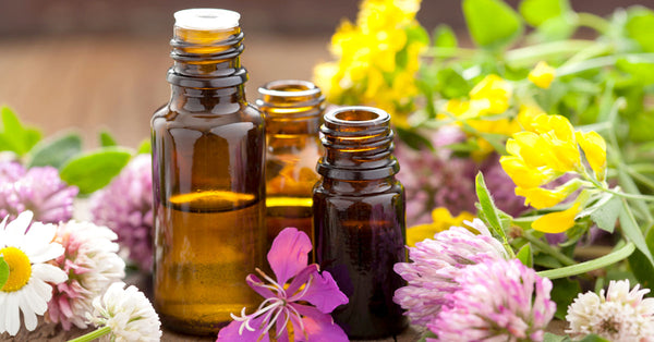 Best Essential Oils to help Support the Respiratory System