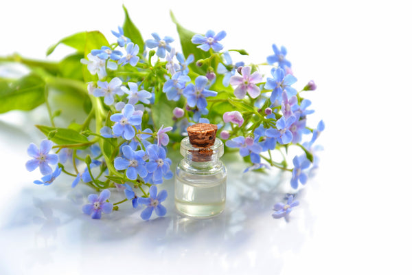 Oil glass bottle with cork alongside a bunch of blue-purple coloured flowers