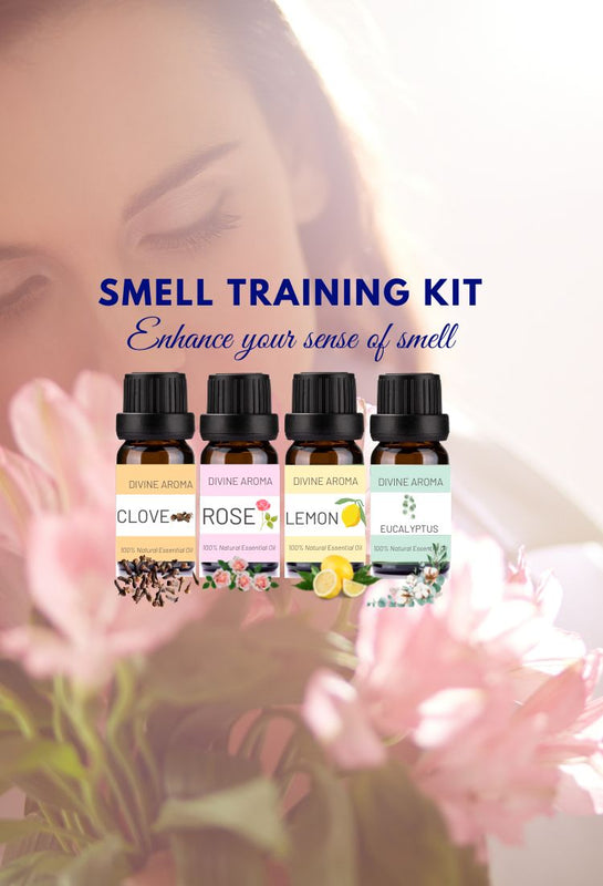 divine aroma smell training kit to enhance sense of smell and regain sense of smell with pure essential oils clove rose lemon eucalyptus aromatherapy