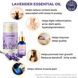 Lavender | For Acne, Scars, Hair Growth, Stress, Sleep