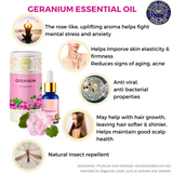 Geranium | For Skin elasticity, Hair, Anti-viral properties, Stress, repelling insects