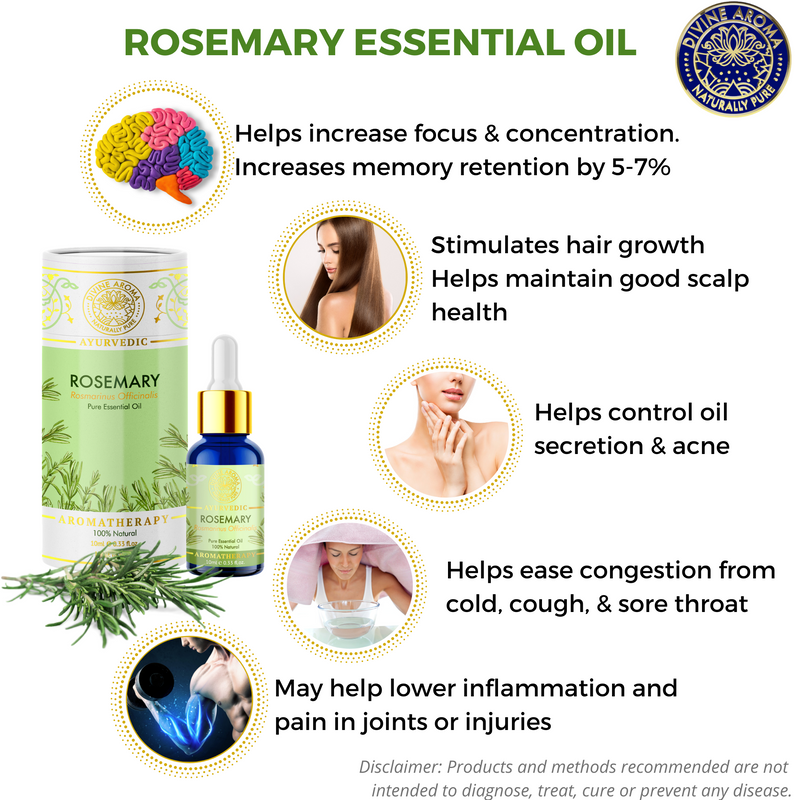 Rosemary |  For Skin, Hair, Memory, Concentration