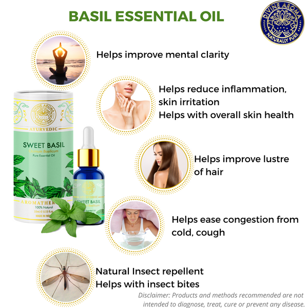 Basil (Sweet) | For Acne, Wrinkles, Hair Health, Air-purification, Mental clarity