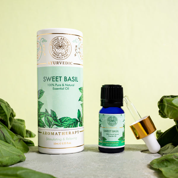 Basil (Sweet) | For Acne, Wrinkles, Hair Health, Air-purification, Mental clarity