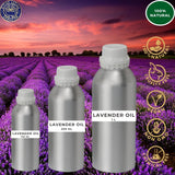 Lavender | For Acne, Scars, Hair Growth, Stress, Sleep