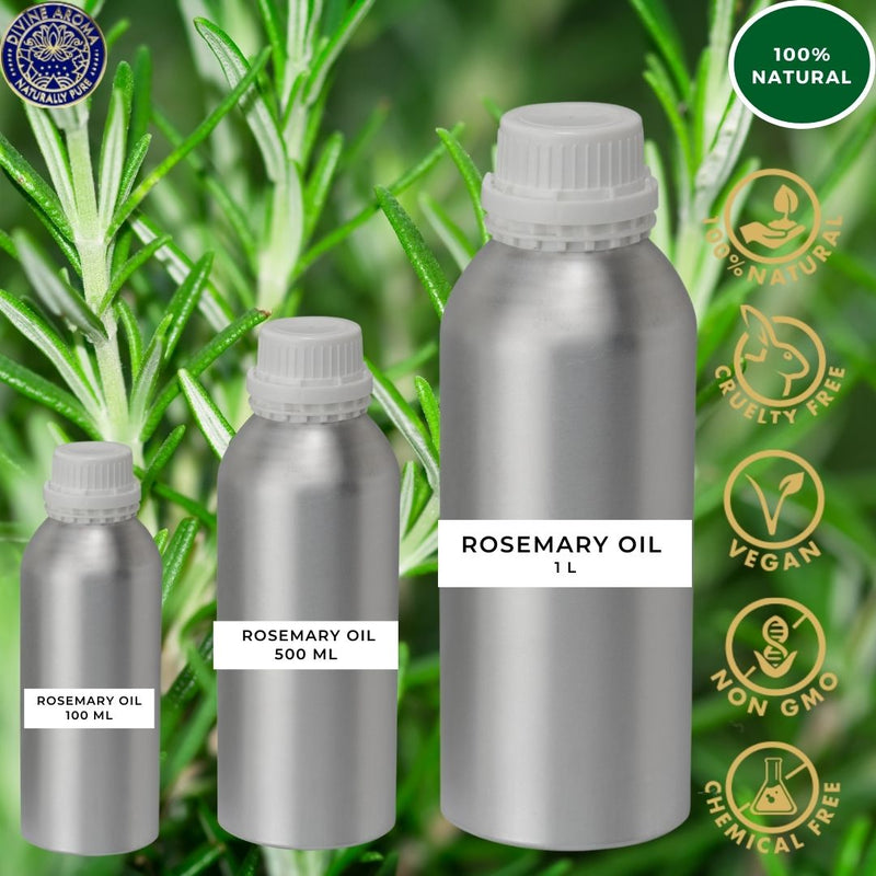 Rosemary |  For Skin, Hair, Memory, Concentration